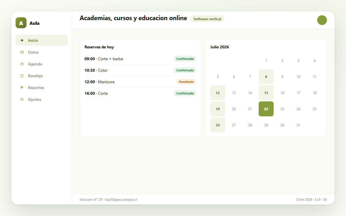 Vista previa de Academias, cursos y educacion online